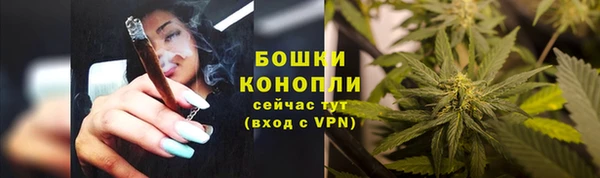 первитин Нягань